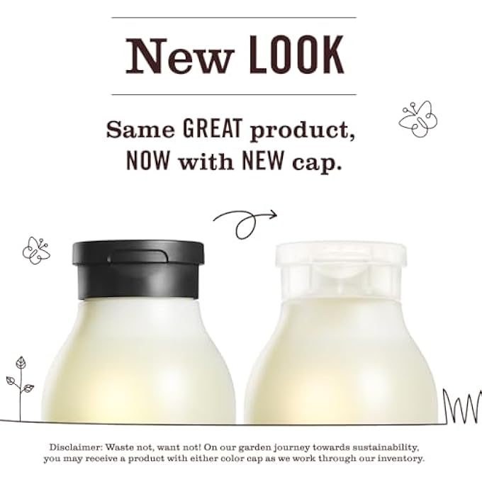 Mrs. Meyer's CLEAN DAY LIQUID HAND SOAP REFILL SCENT VARIETY PACK (LEMON VERBENA + LAVENDER + BASIL) - Image 2